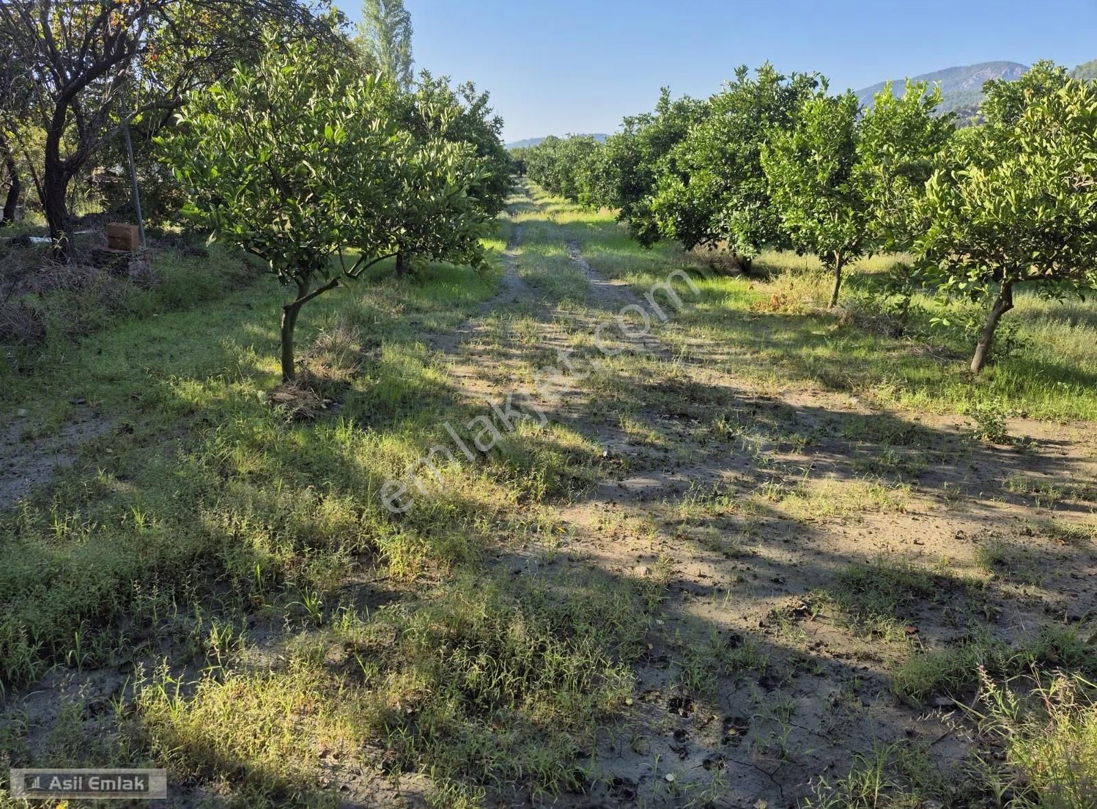 Asil Emlaktan Ortaca Yeşilyurt Mah.de Satılık Arsa - Görsel 11