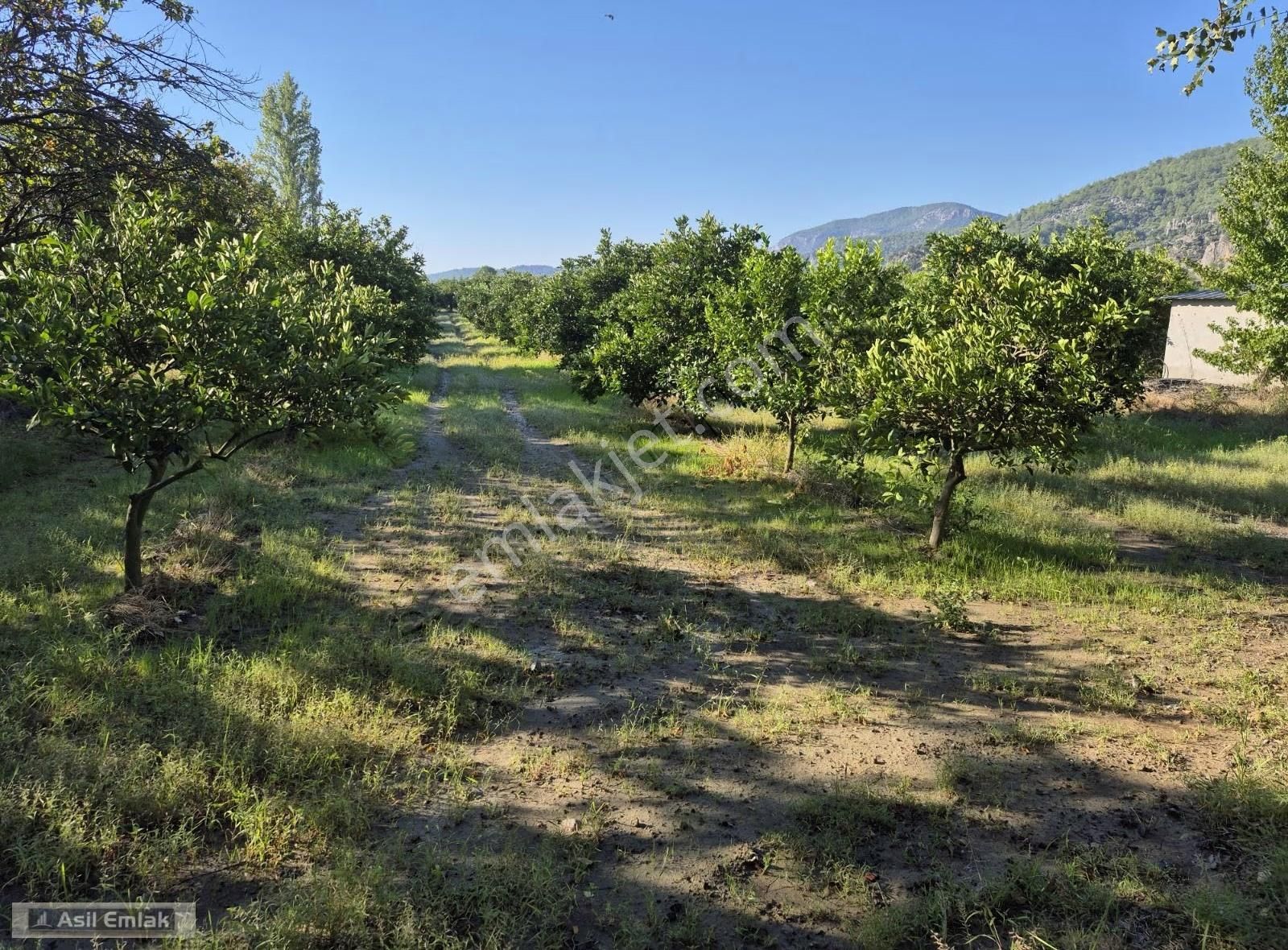 Asil Emlaktan Ortaca Yeşilyurt Mah.de Satılık Arsa - Görsel 31
