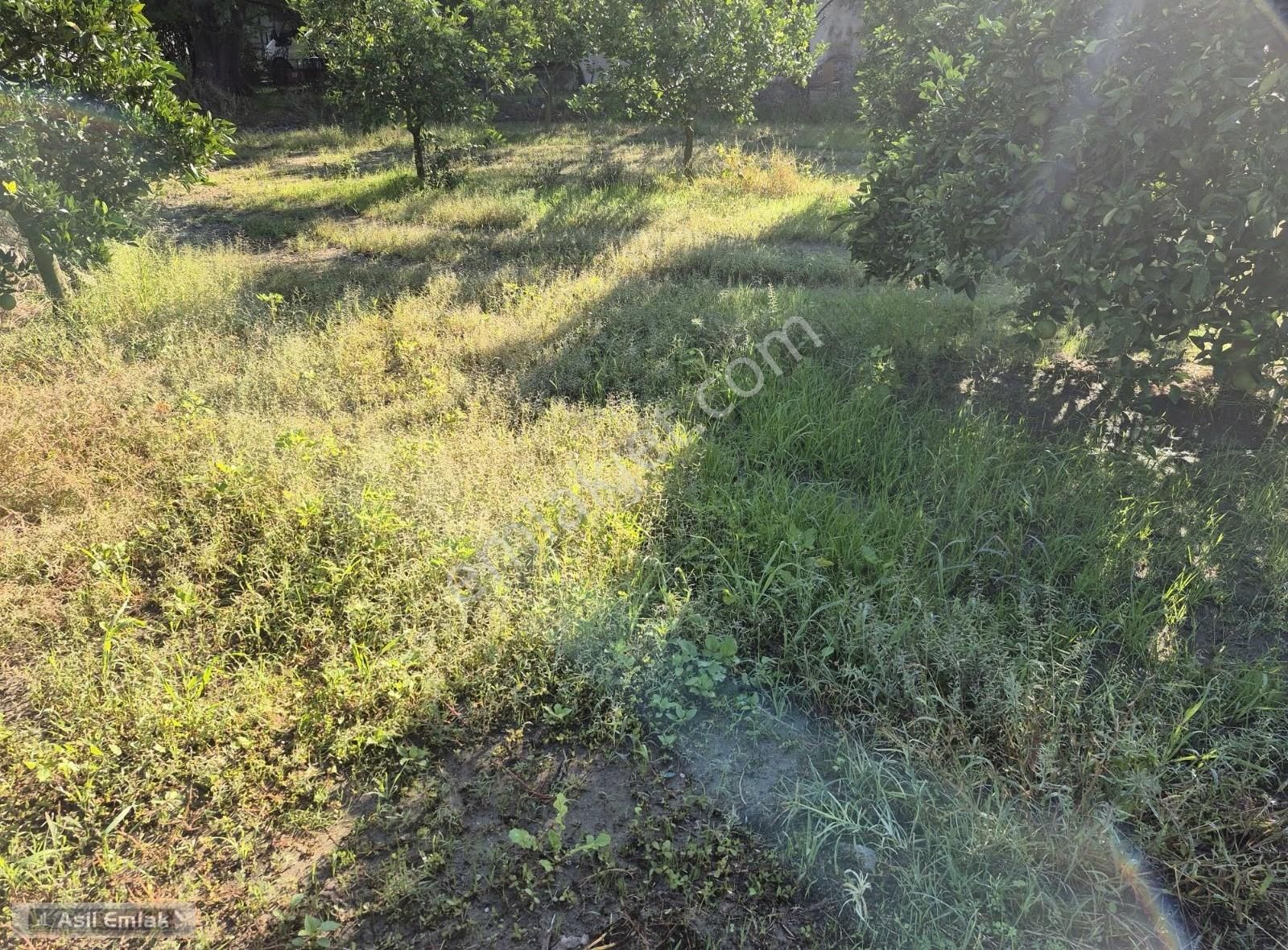 Asil Emlaktan Ortaca Yeşilyurt Mah.de Satılık Arsa - Görsel 26