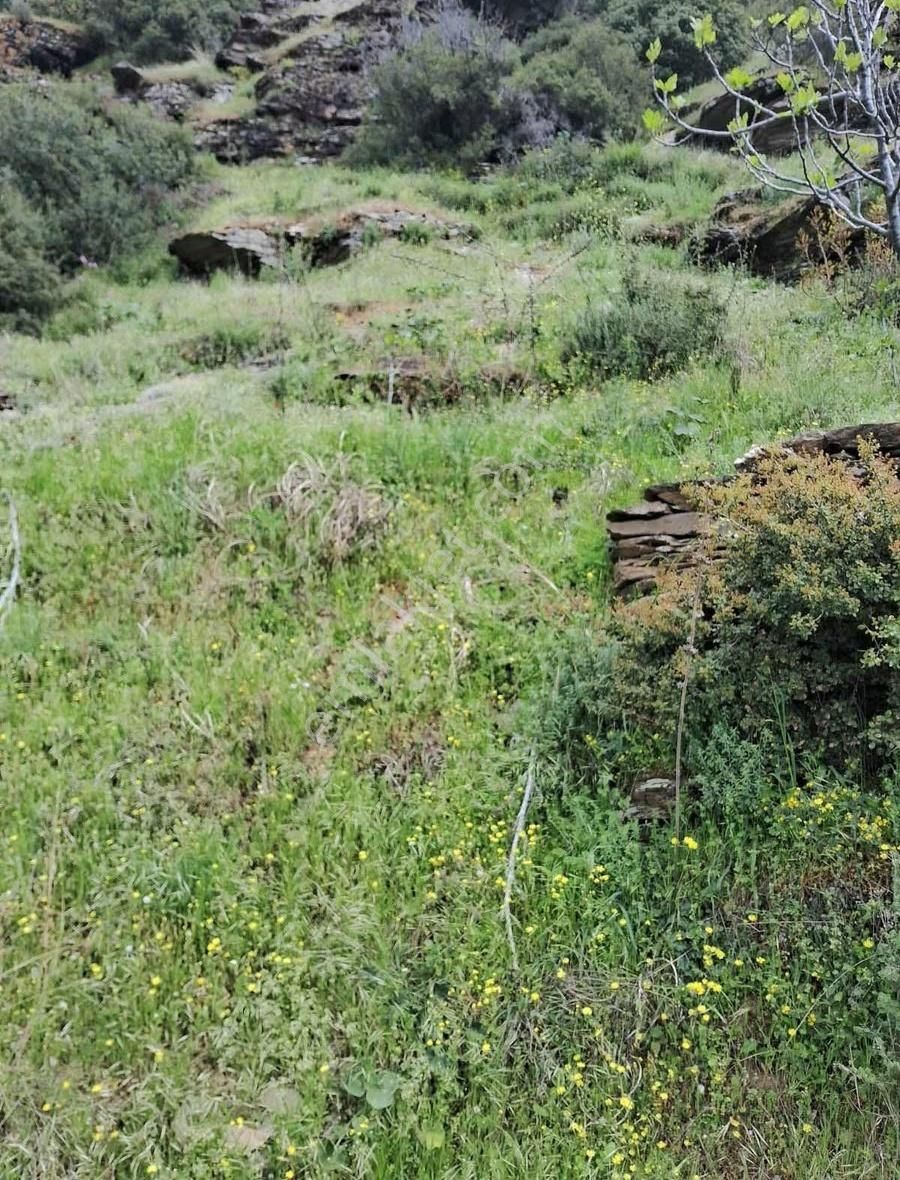 Bahçe Vasfında Köy Yakını Tek Tapu - Görsel 3