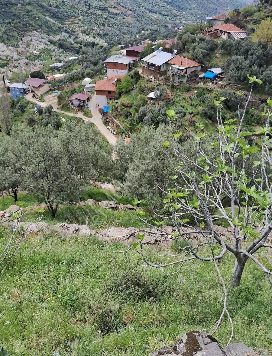 Bahçe Vasfında Köy Yakını Tek Tapu - Görsel 9