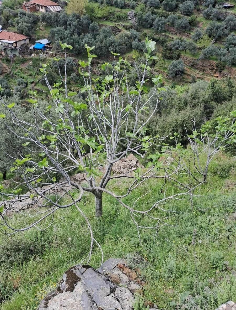 Bahçe Vasfında Köy Yakını Tek Tapu - Görsel 22