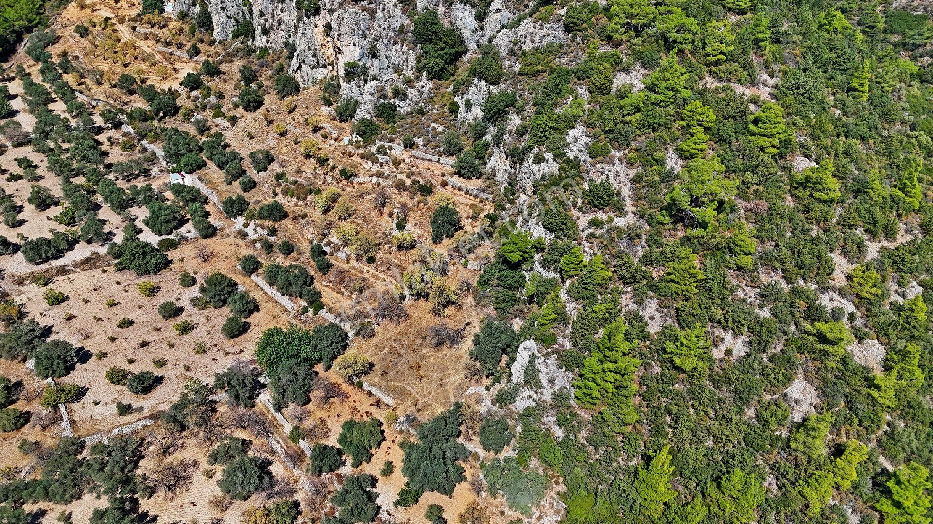 Datça Satılık Arazi Kadastral Yolu Var Sındı'da - Görsel 19