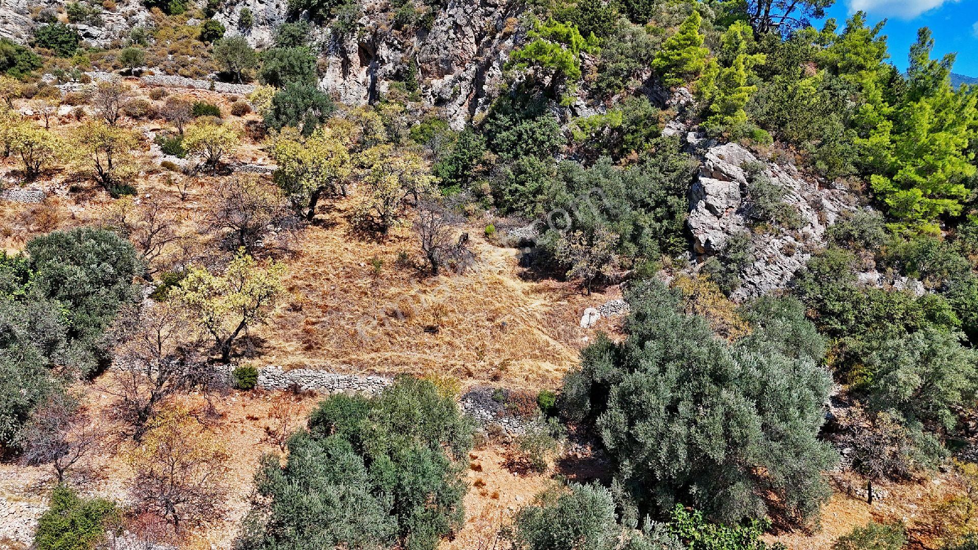 Datça Satılık Arazi Kadastral Yolu Var Sındı'da - Görsel 13