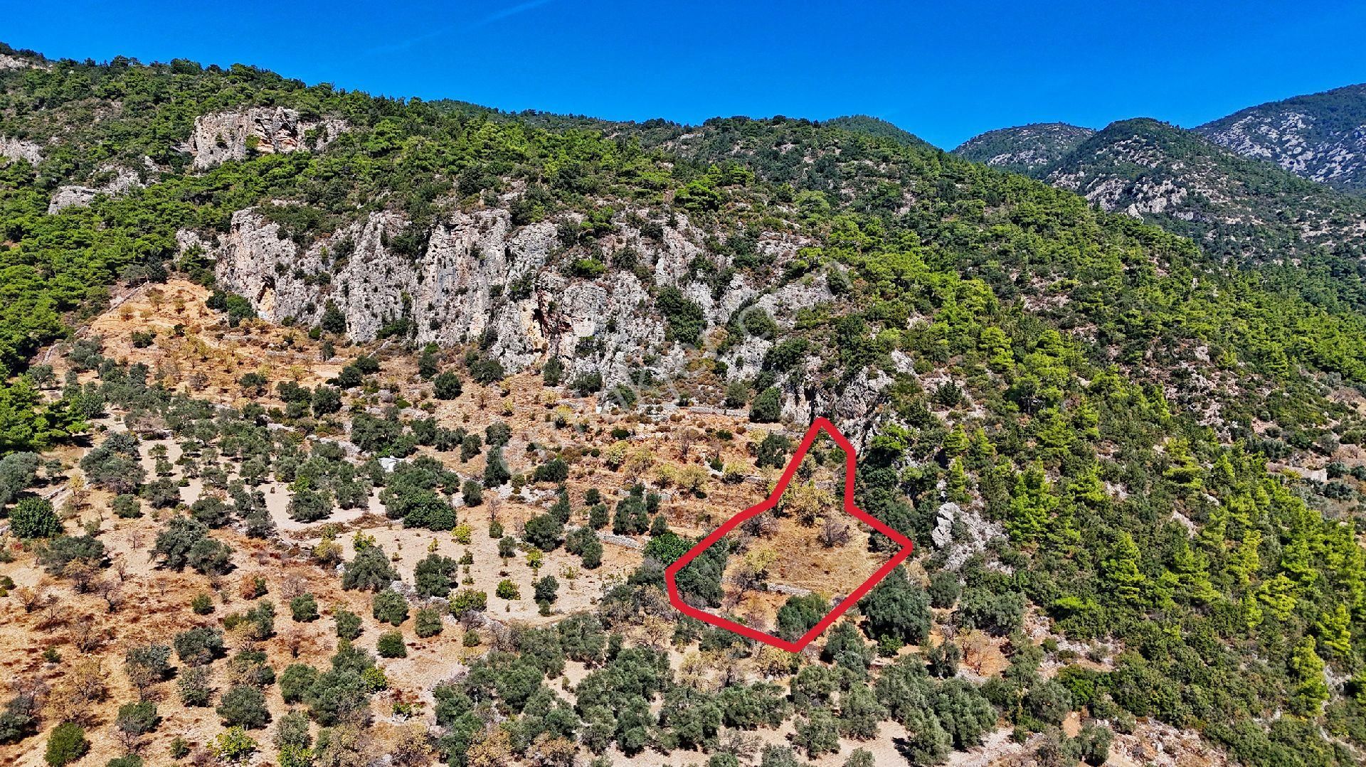 Datça Satılık Arazi Kadastral Yolu Var Sındı'da - Görsel 21