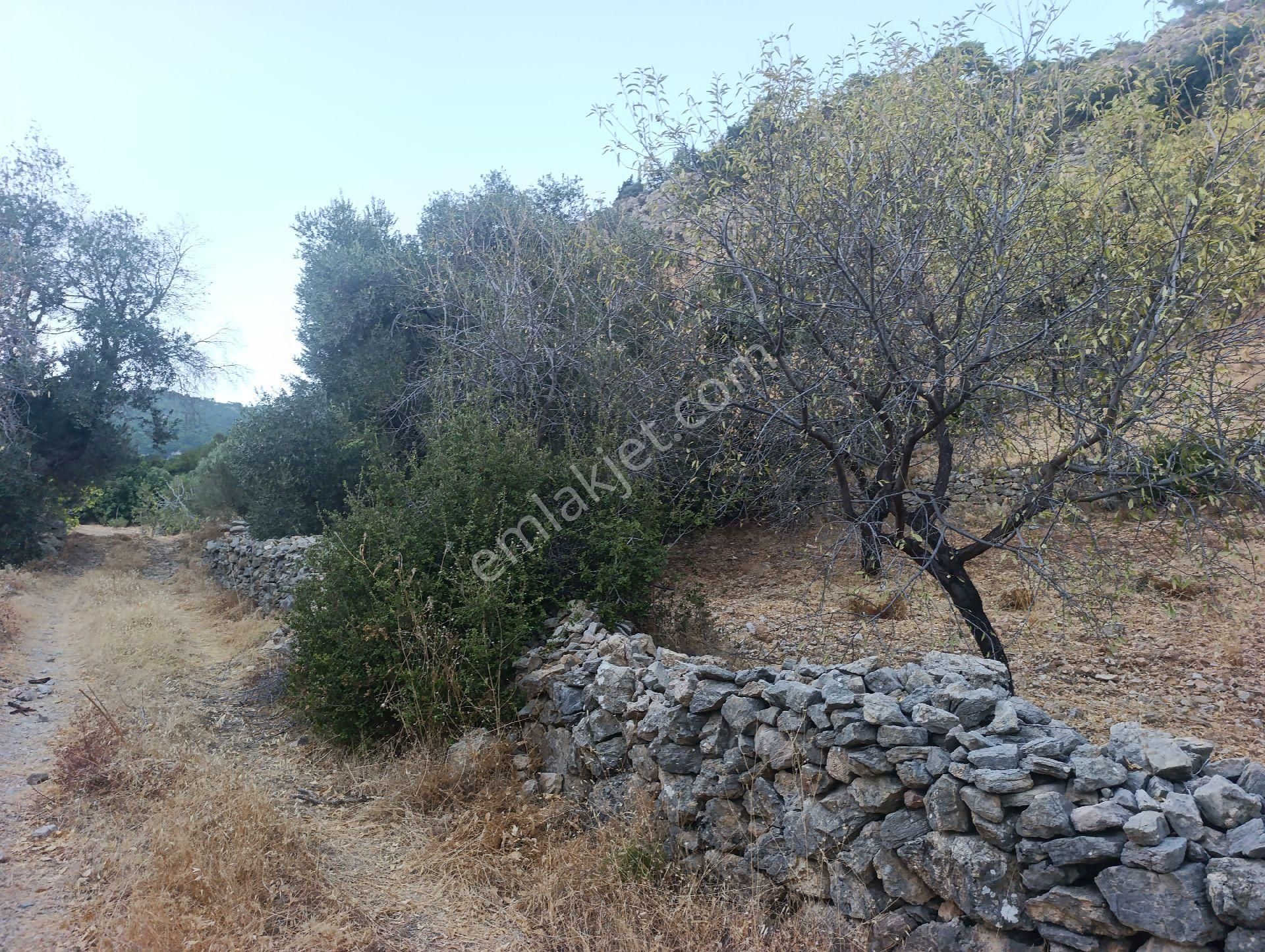 Datça Satılık Arazi Kadastral Yolu Var Sındı'da - Görsel 34