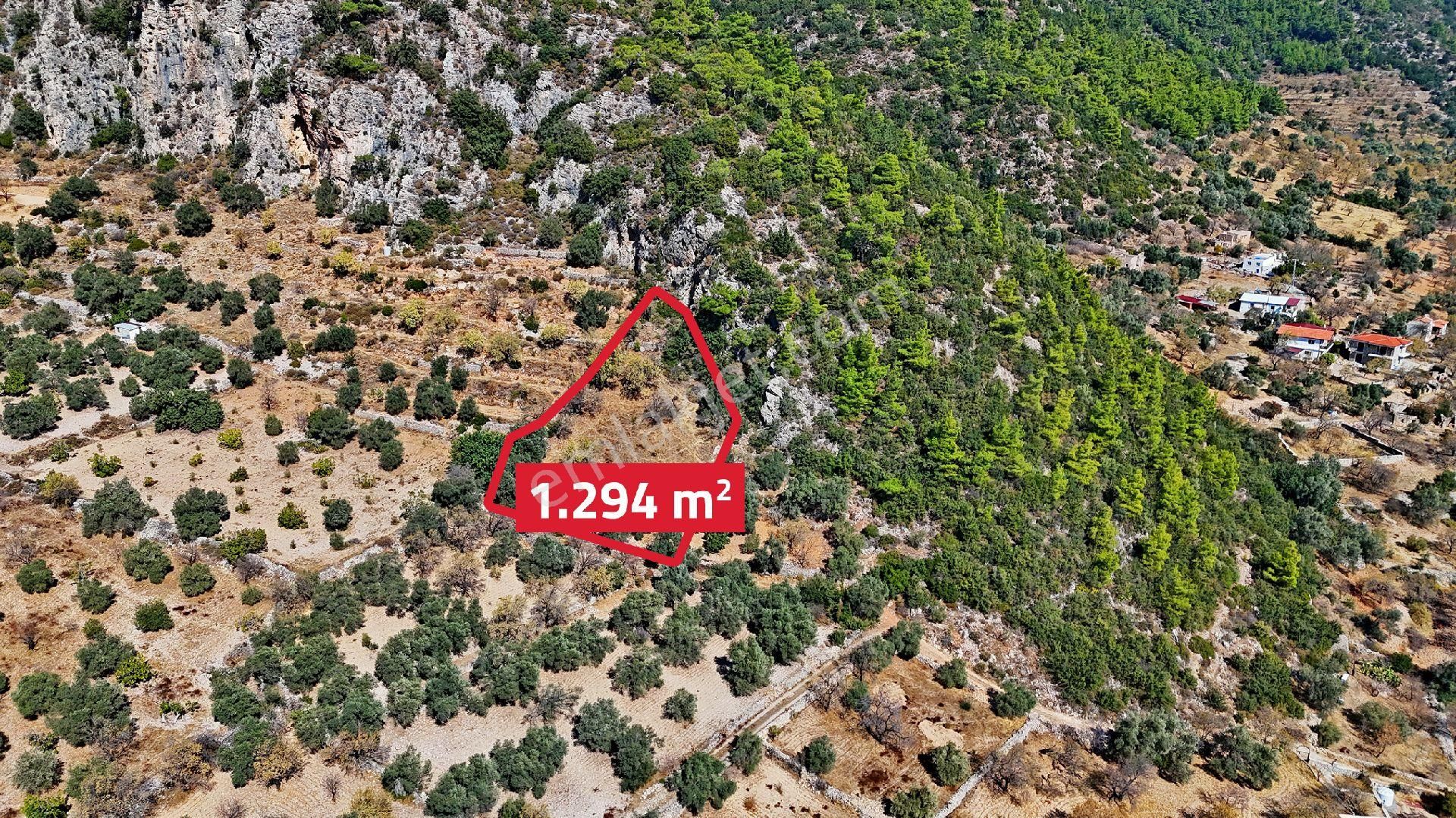 Datça Satılık Arazi Kadastral Yolu Var Sındı'da - Görsel 3