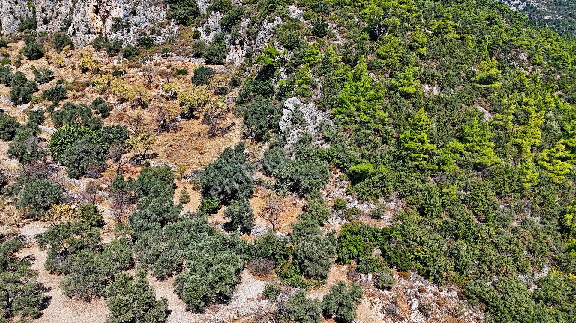 Datça Satılık Arazi Kadastral Yolu Var Sındı'da - Görsel 16