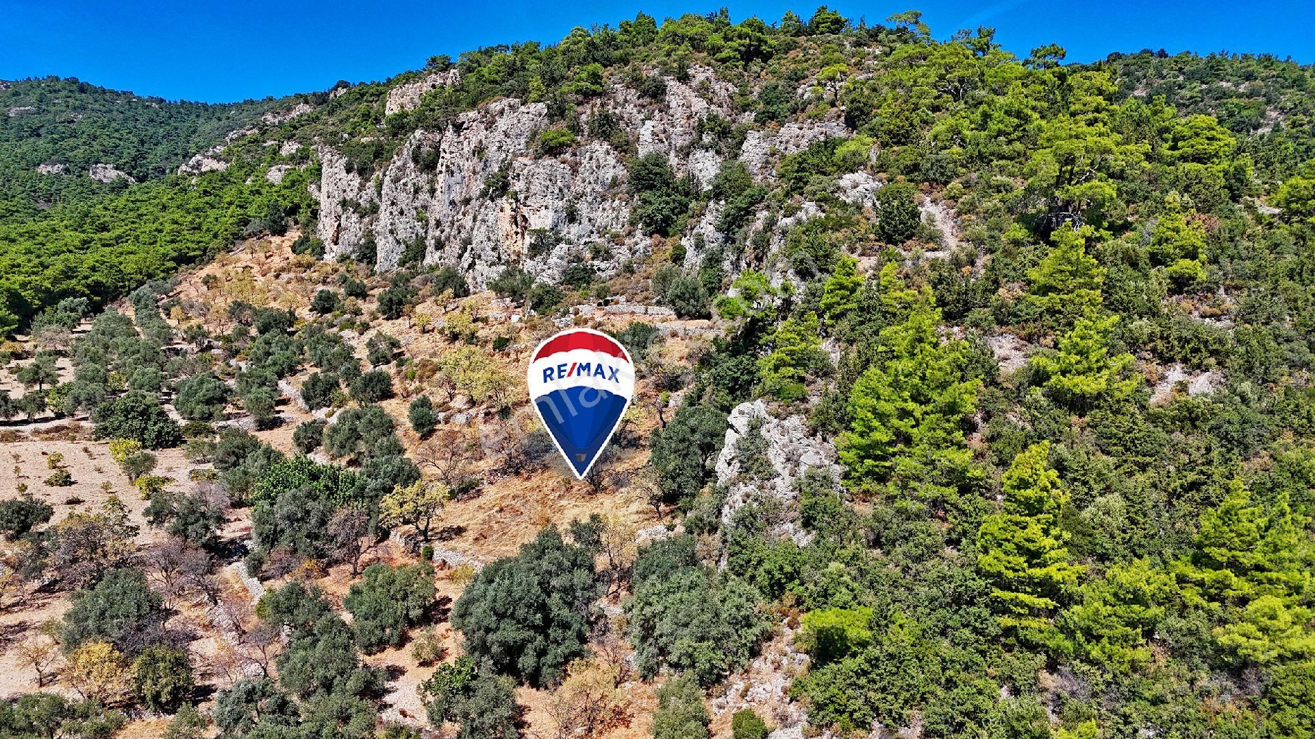 Datça Satılık Arazi Kadastral Yolu Var Sındı'da - Görsel 11