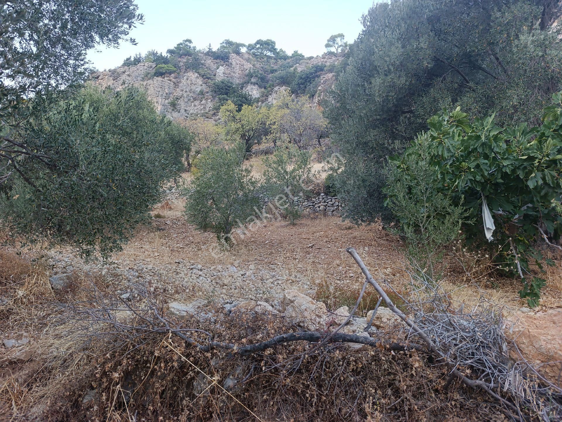Datça Satılık Arazi Kadastral Yolu Var Sındı'da - Görsel 35