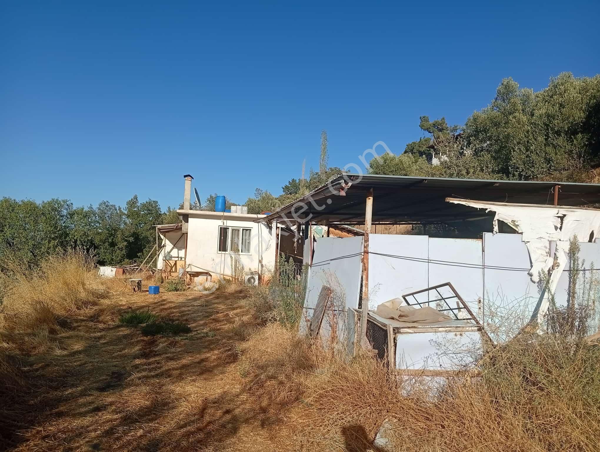 Köyevi Ve Zeytin Bahçesi 6.782 M2 - Görsel 4