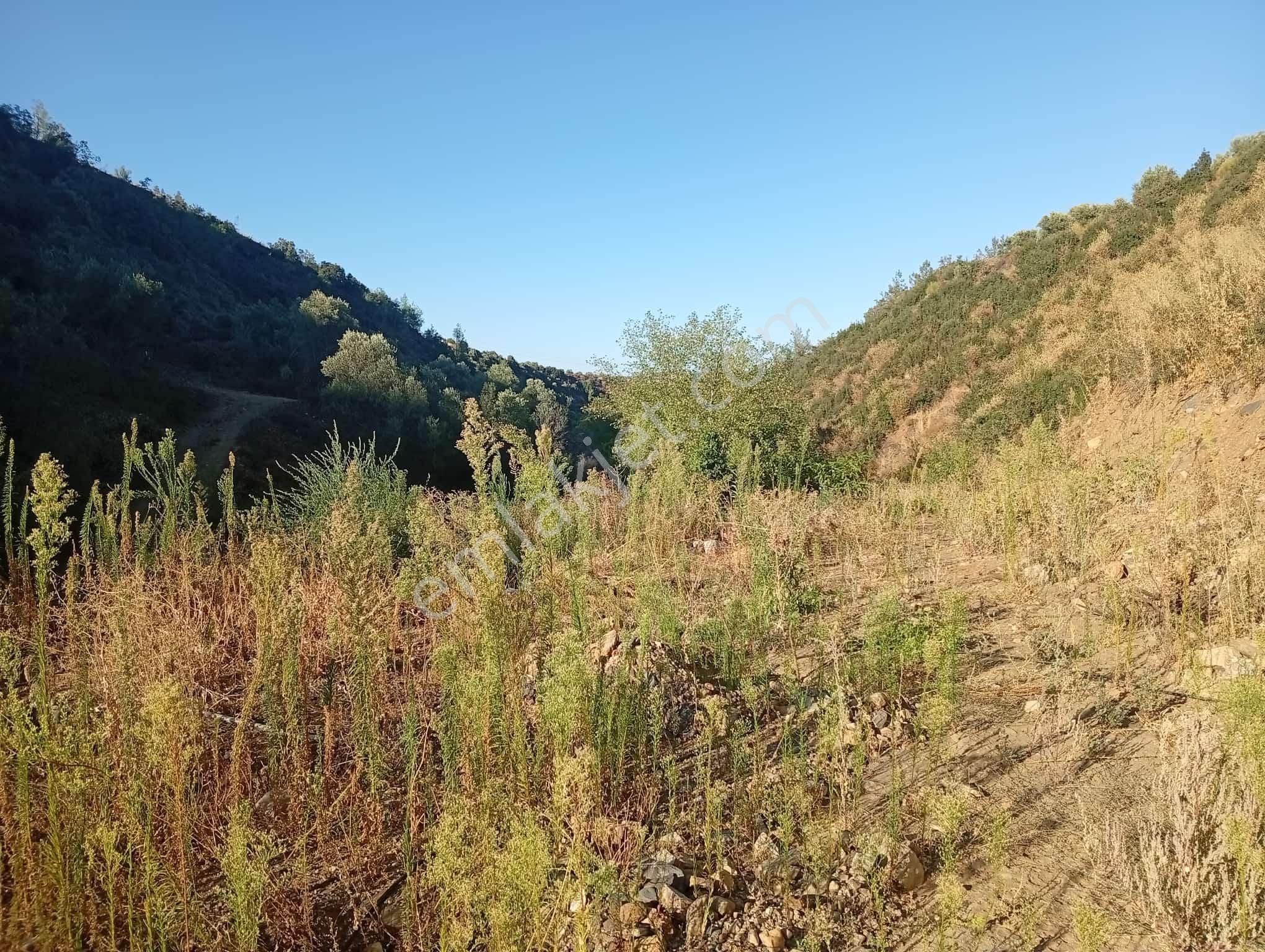 Köyevi Ve Zeytin Bahçesi 6.782 M2 - Görsel 19