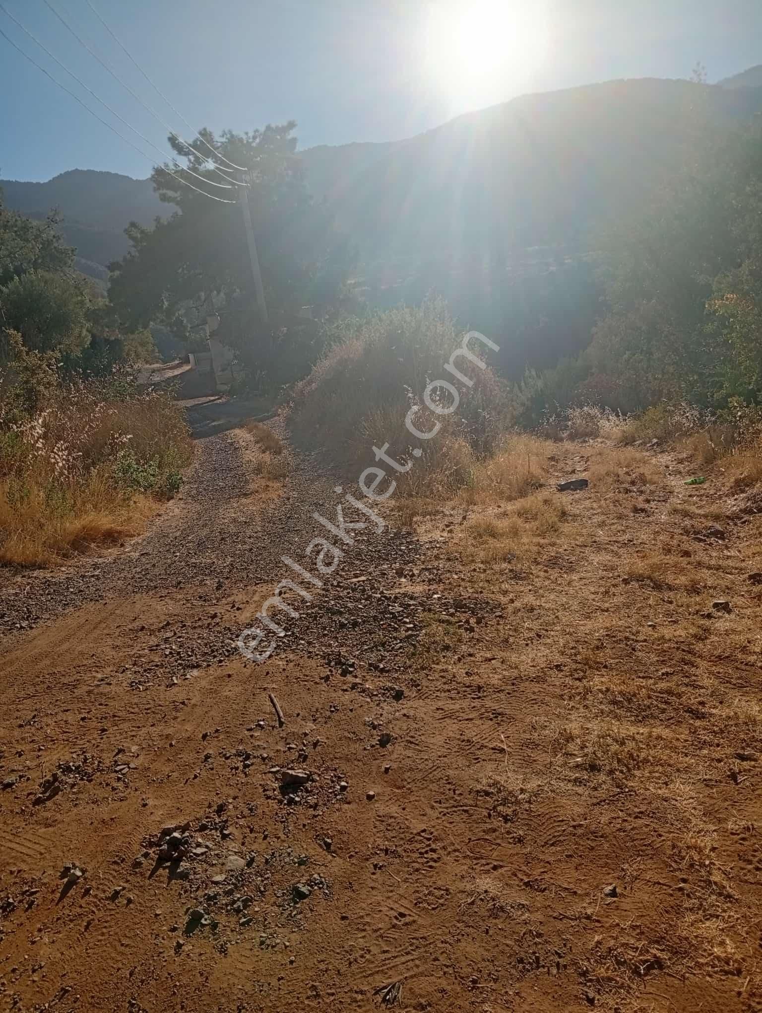 Köyevi Ve Zeytin Bahçesi 6.782 M2 - Görsel 5