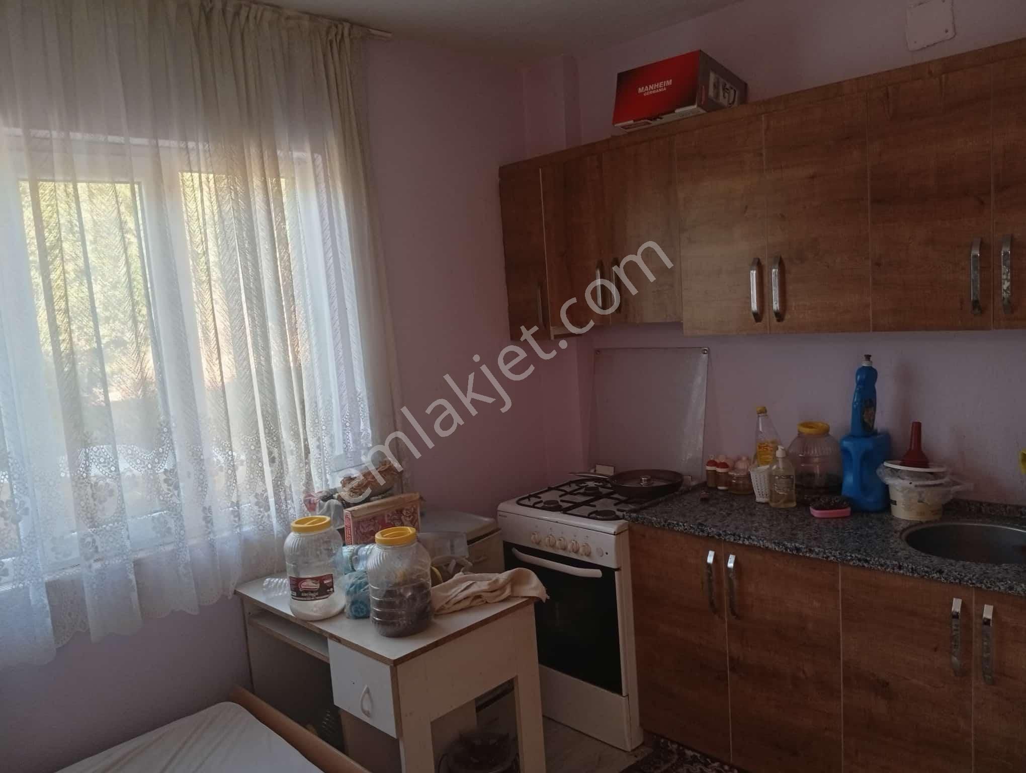 Köyevi Ve Zeytin Bahçesi 6.782 M2 - Görsel 6