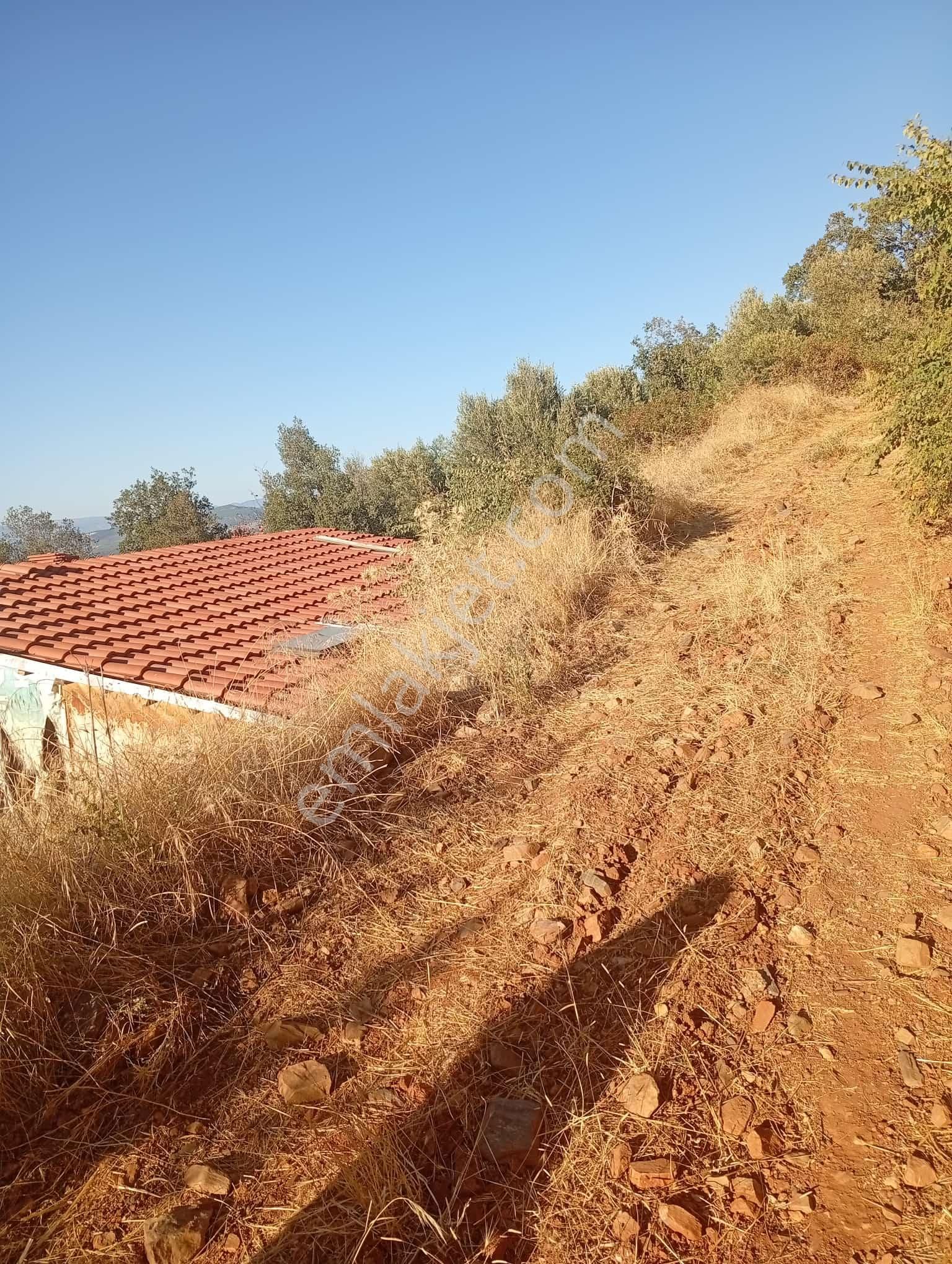 Köyevi Ve Zeytin Bahçesi 6.782 M2 - Görsel 27