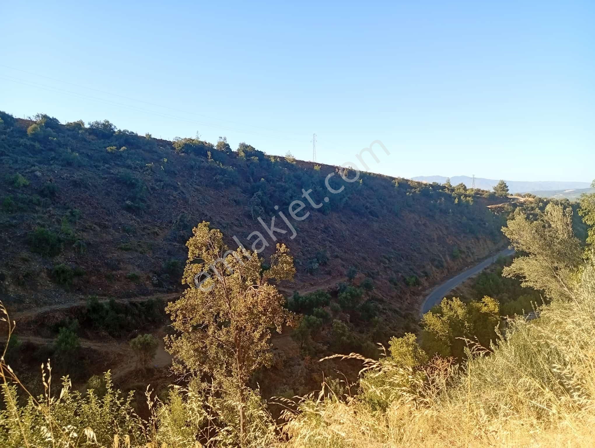Köyevi Ve Zeytin Bahçesi 6.782 M2 - Görsel 12