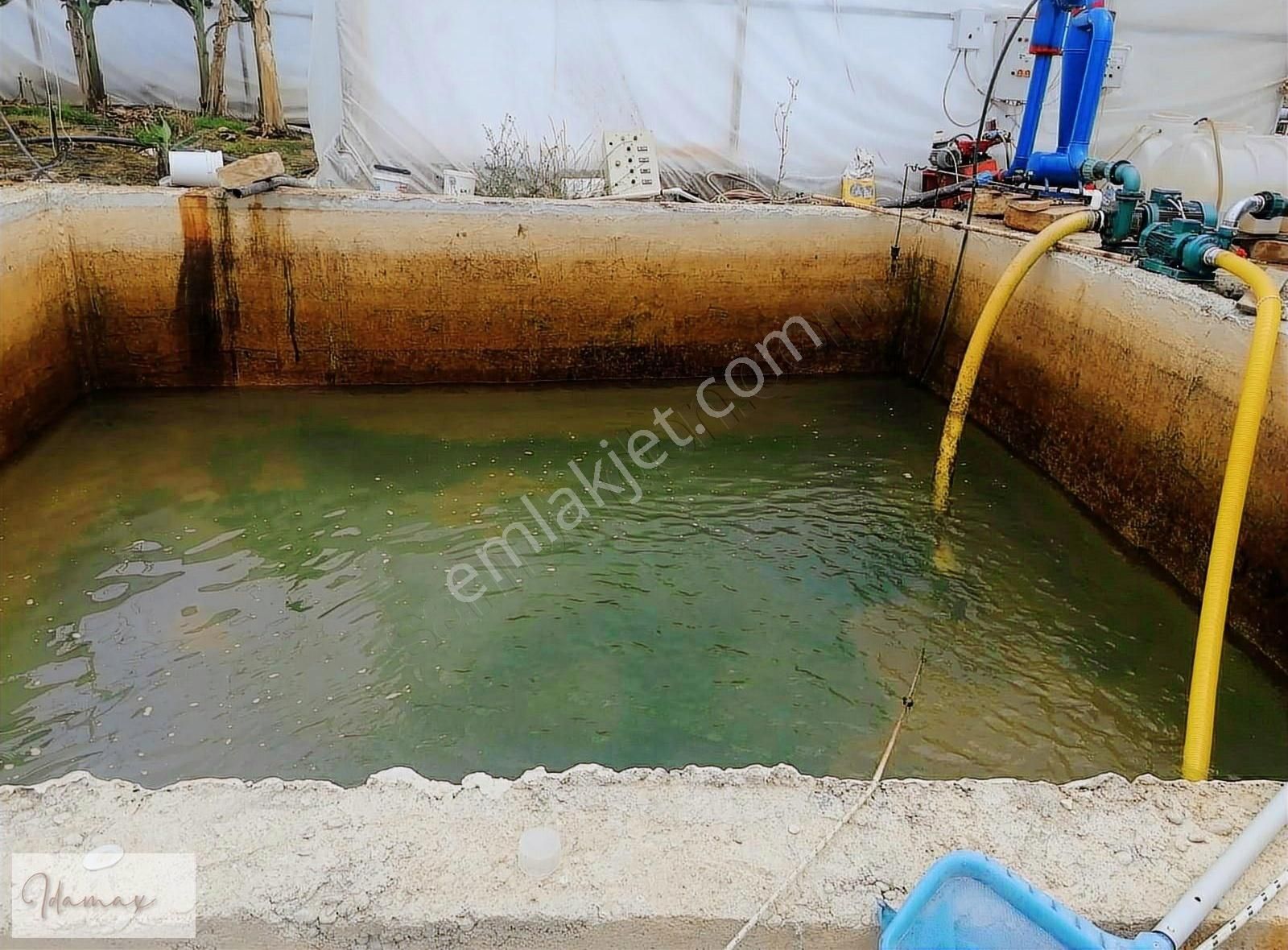 İdamax'tan Taşağıl Çardakta Ana Yola Sıfır 8,5 Dönüm Muz Serası - Görsel 11