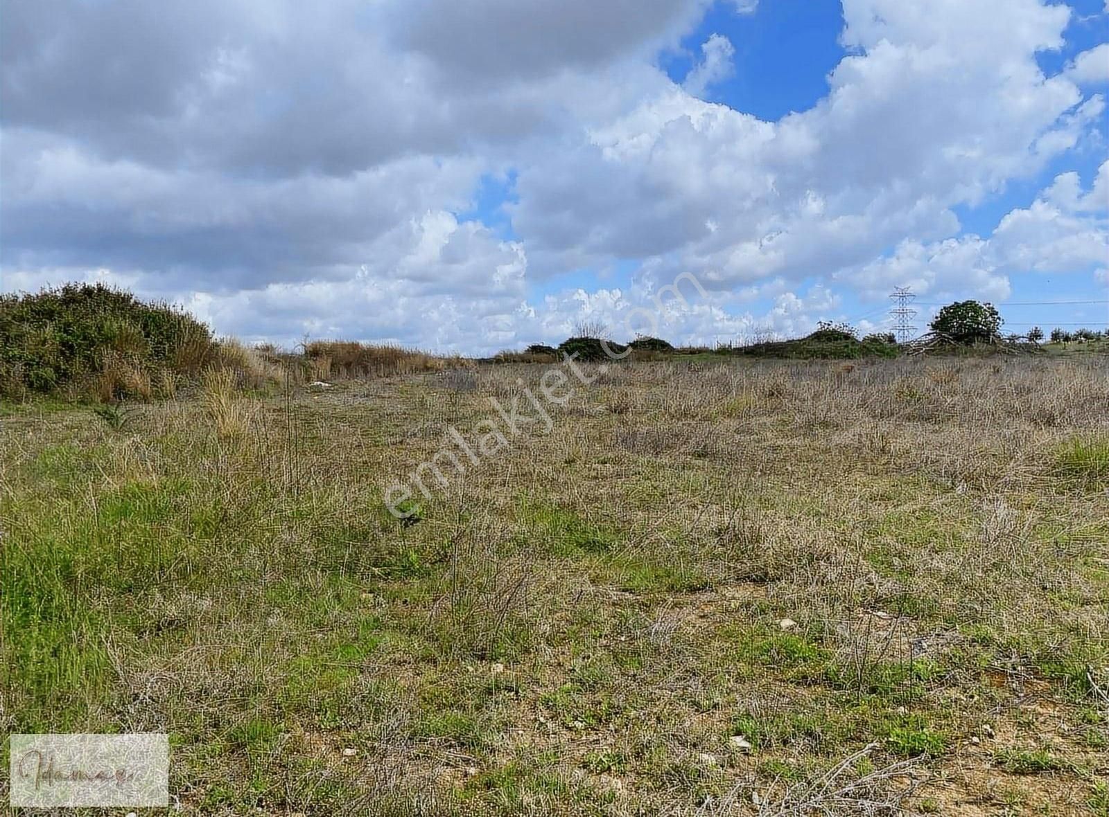 İdamax'tan Kalemlerde Satılık 14 Dönüm Tarla - Görsel 11