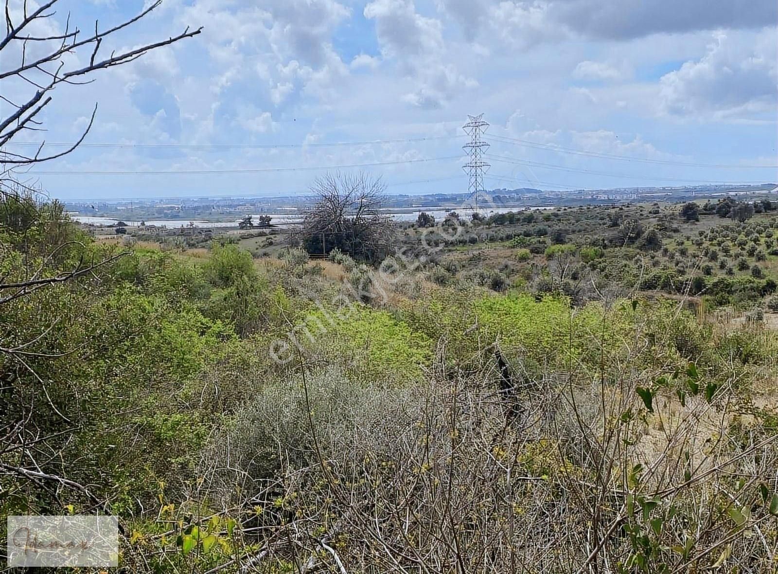 İdamax'tan Kalemlerde Satılık 14 Dönüm Tarla - Görsel 5