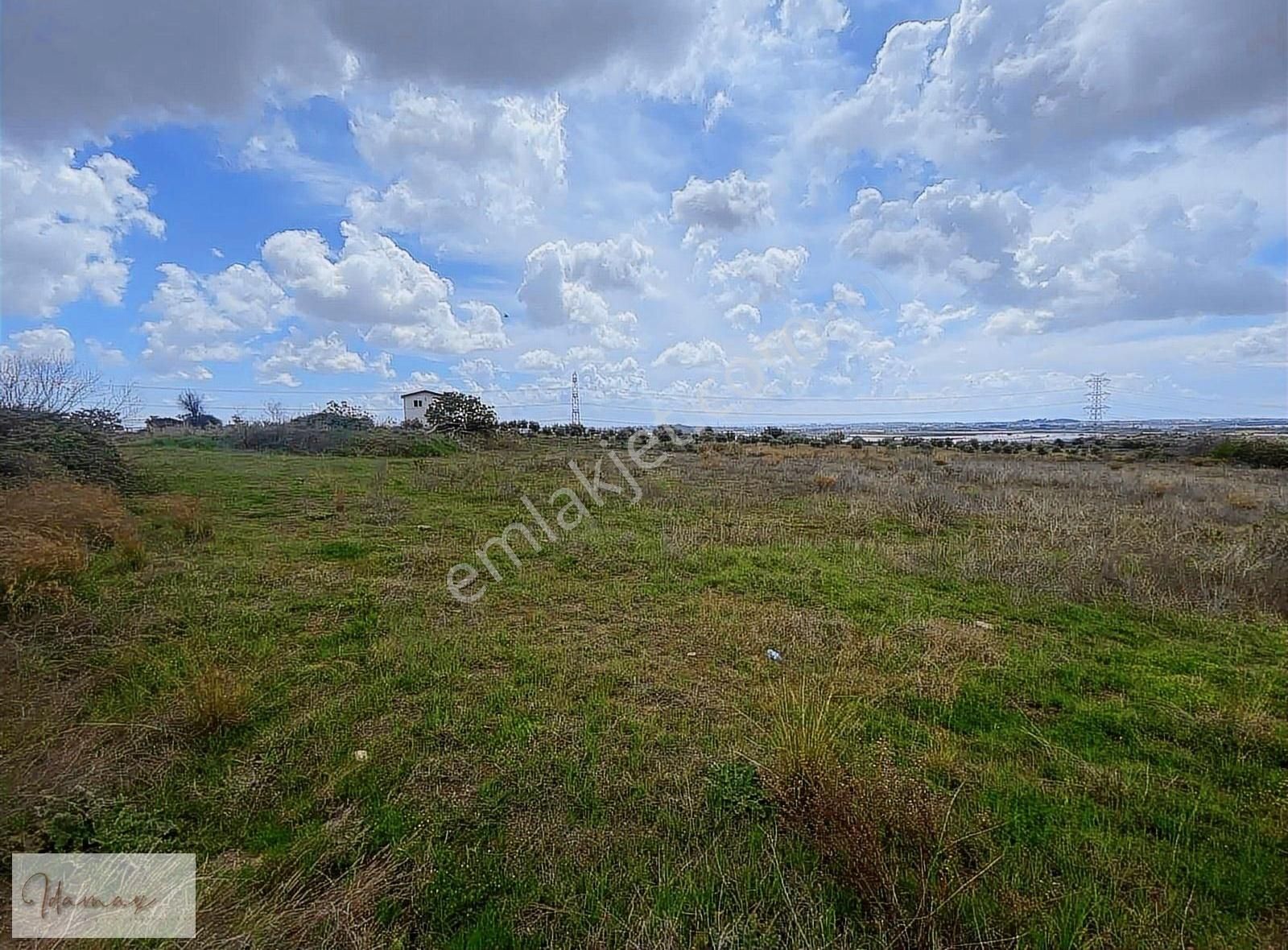 İdamax'tan Kalemlerde Satılık 14 Dönüm Tarla - Görsel 10