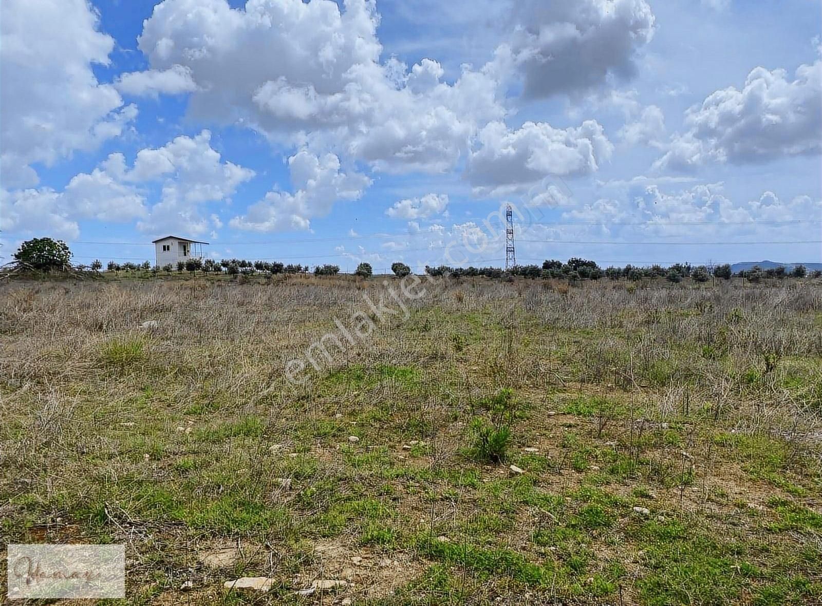 İdamax'tan Kalemlerde Satılık 14 Dönüm Tarla - Görsel 4