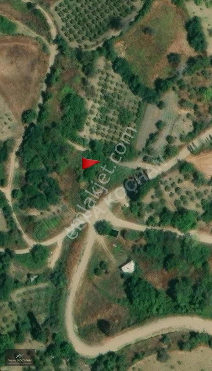 Çanakkale Lapseki Subaşı Mevkii Uygun Arsa Tapulu Arazi - Görsel 2