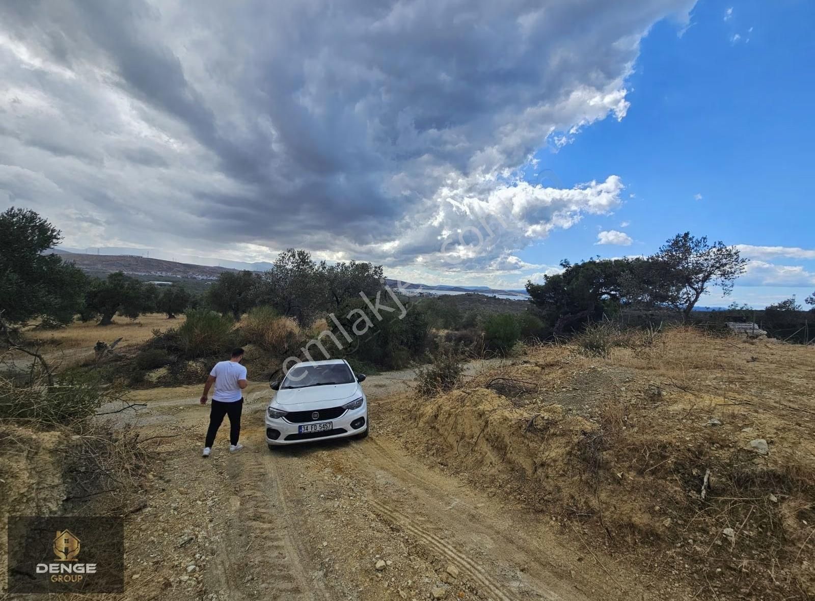 Aliağa Şakranda Deniz Manzaralı Zeytinlik 206m2 - Görsel 2