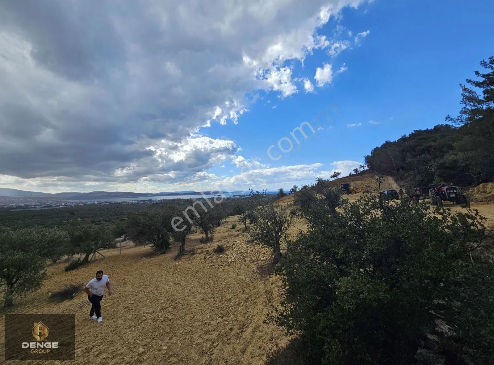 Aliağa Şakranda Deniz Manzaralı Zeytinlik 206m2 - Görsel 7
