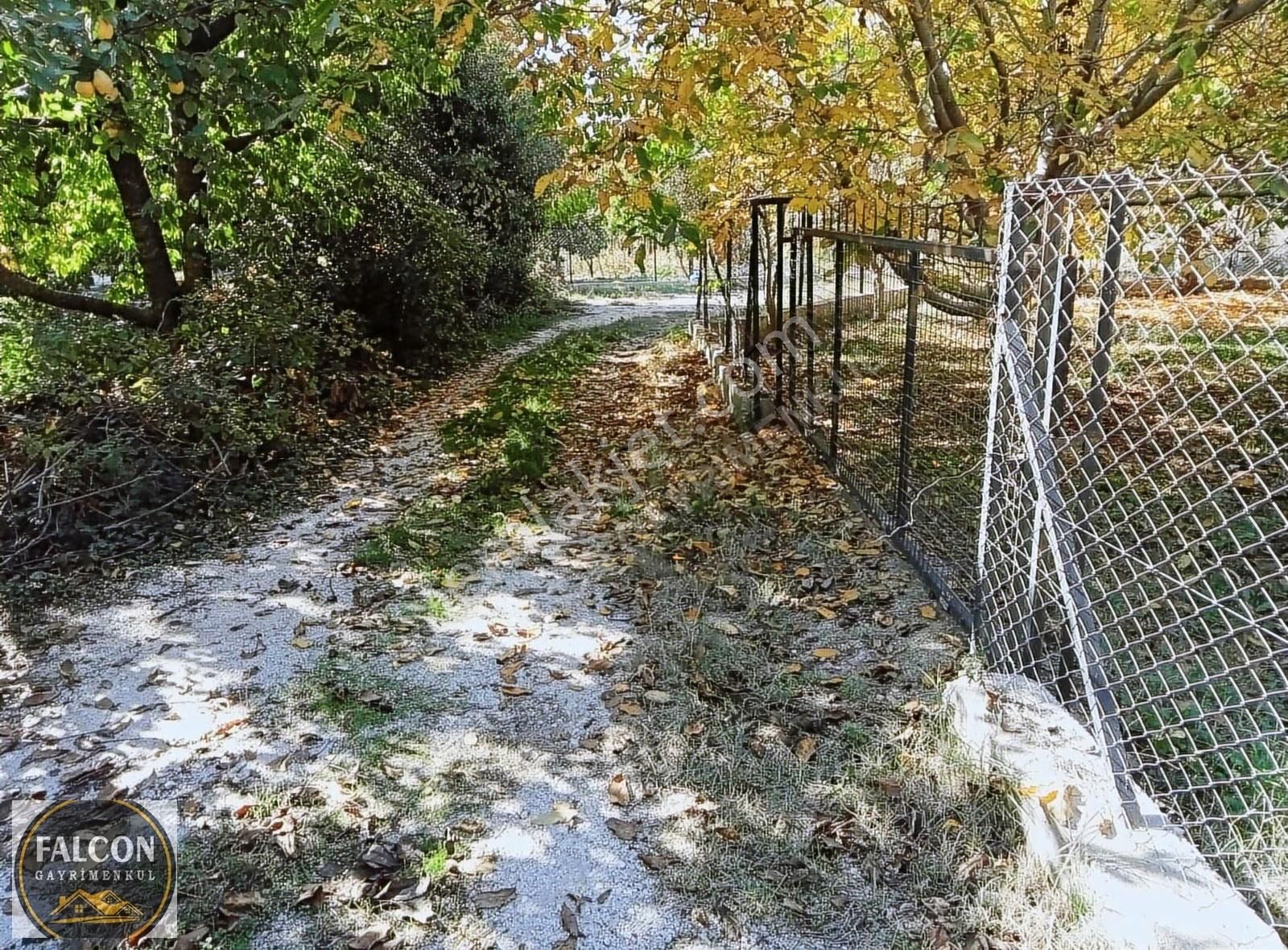 Falcon Dan Nif De Fırsat 846m² Arsa - Görsel 10