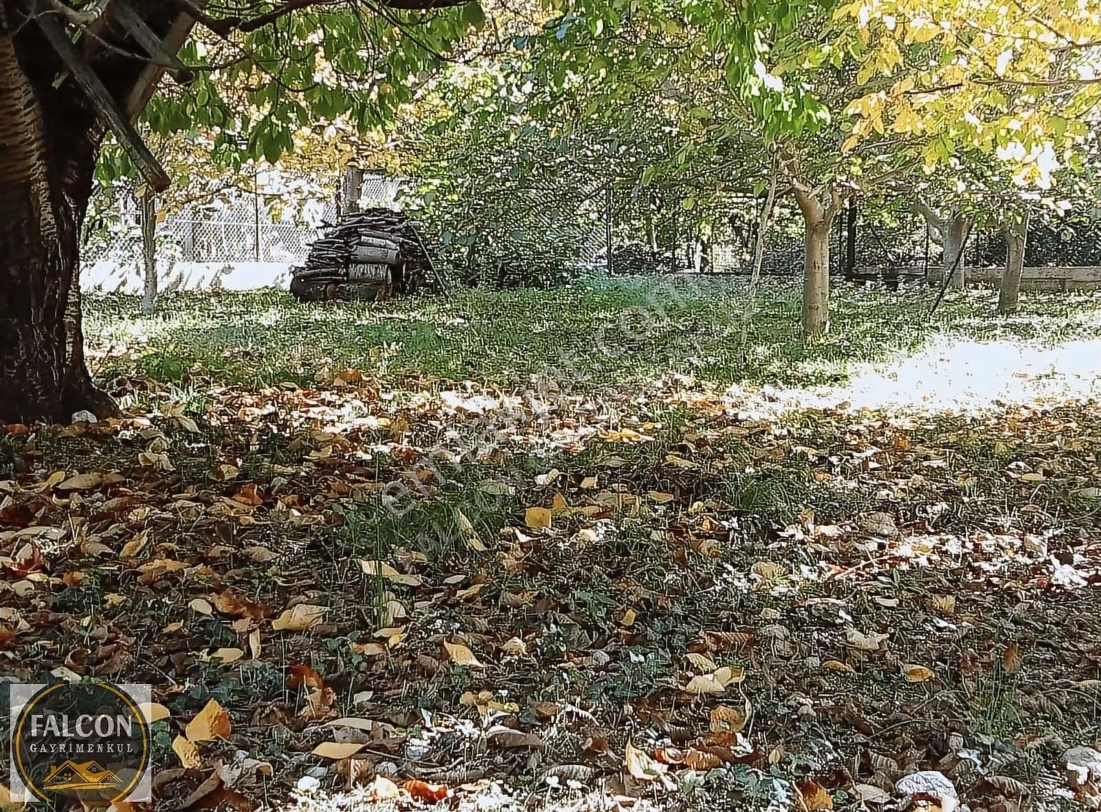 Falcon Dan Nif De Fırsat 846m² Arsa - Görsel 8