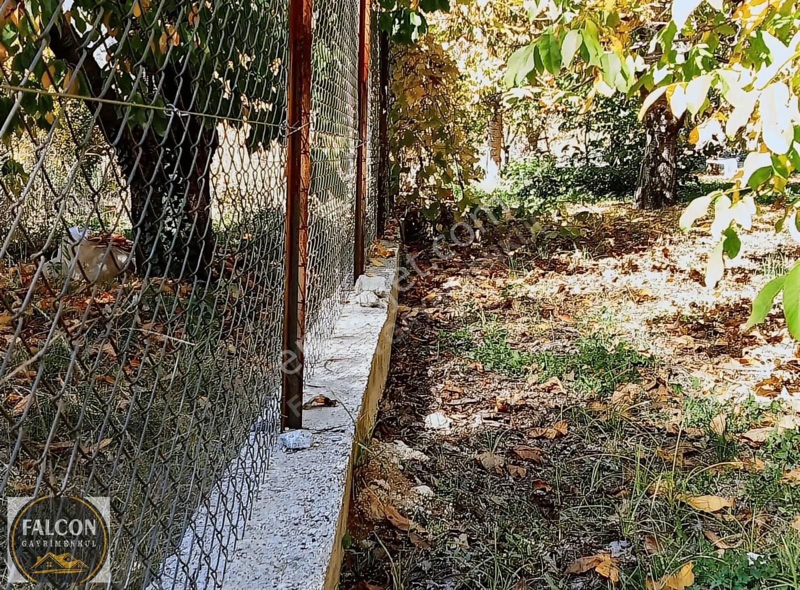 Falcon Dan Nif De Fırsat 846m² Arsa - Görsel 4