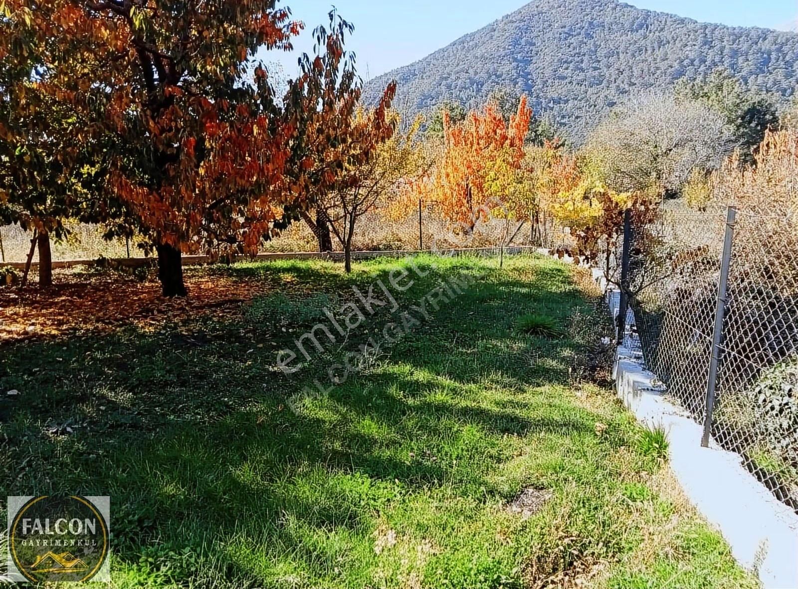 Falcon Dan Nif De Fırsat 846m² Arsa