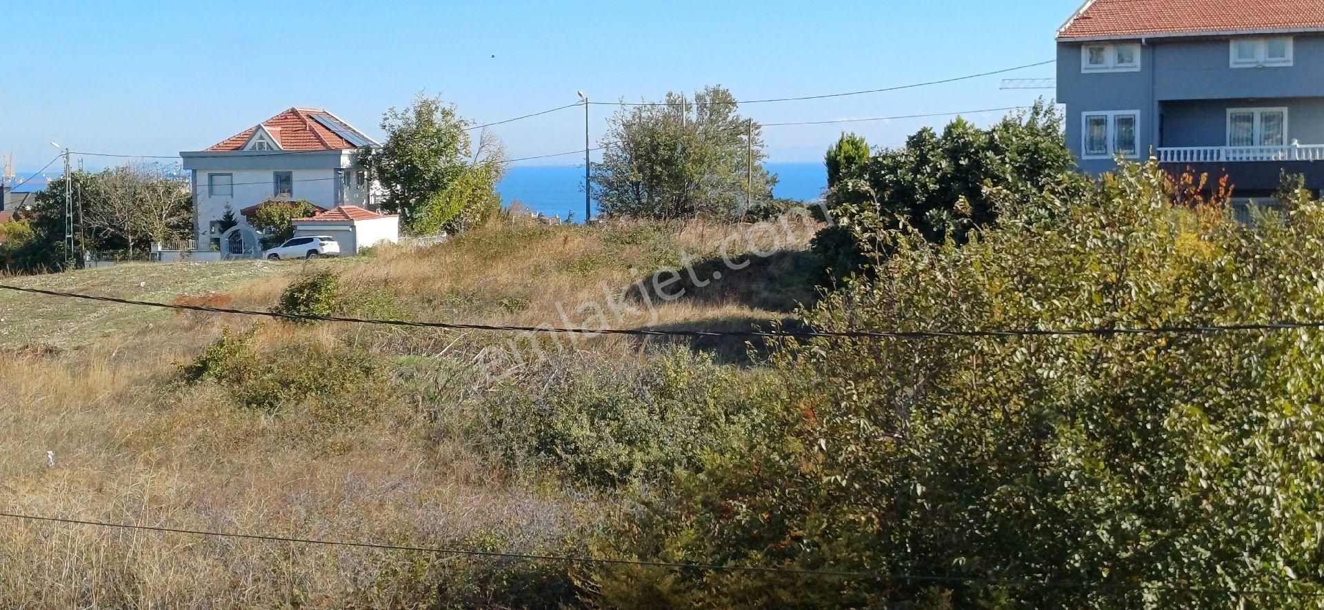 Beylikdüzü Gürpınarda Satılık Triplex Villa - Görsel 2