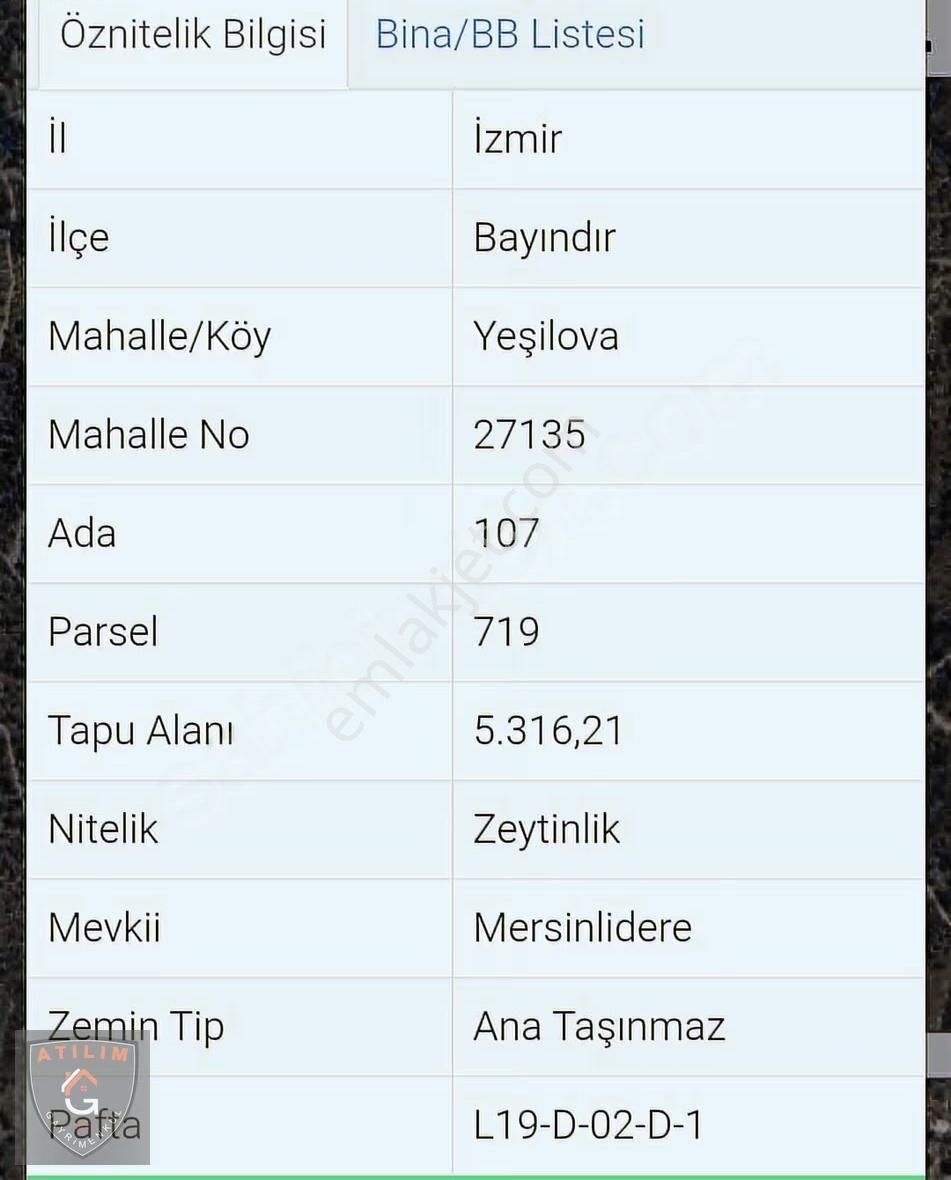 Bayındır Yeşilova Mah. Müstakil Tapulu 5.316 M2 Zeytinlik - Görsel 2