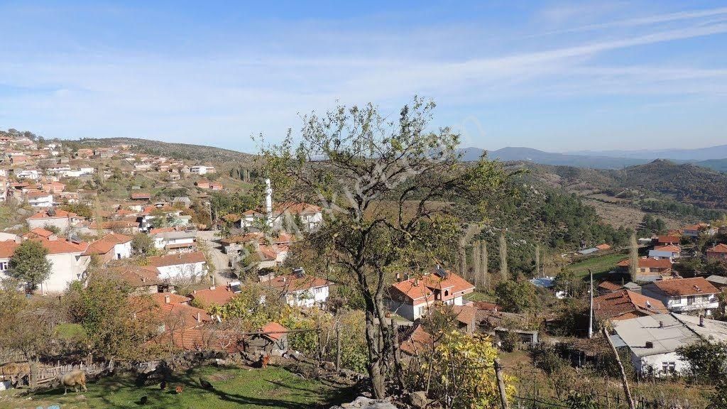 Çanakkale Yenice Çalköy 6.640 M² Müstakil Tarla, Kadastro Yola Cephe - Görsel 9