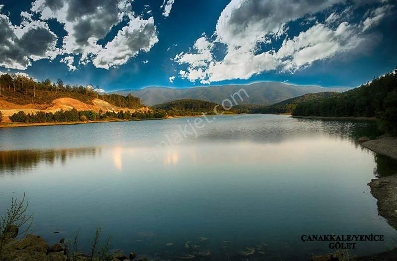 Çanakkale Yenice Çalköy 6.640 M² Müstakil Tarla, Kadastro Yola Cephe