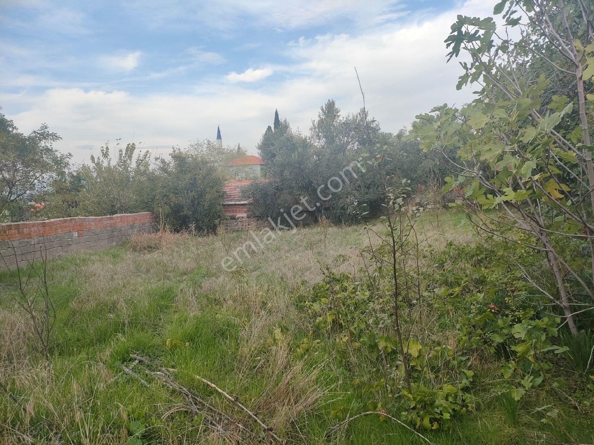 Poyracık Mahallesinde Geniş Bahçesi Olan Müstakil Ev - Görsel 27