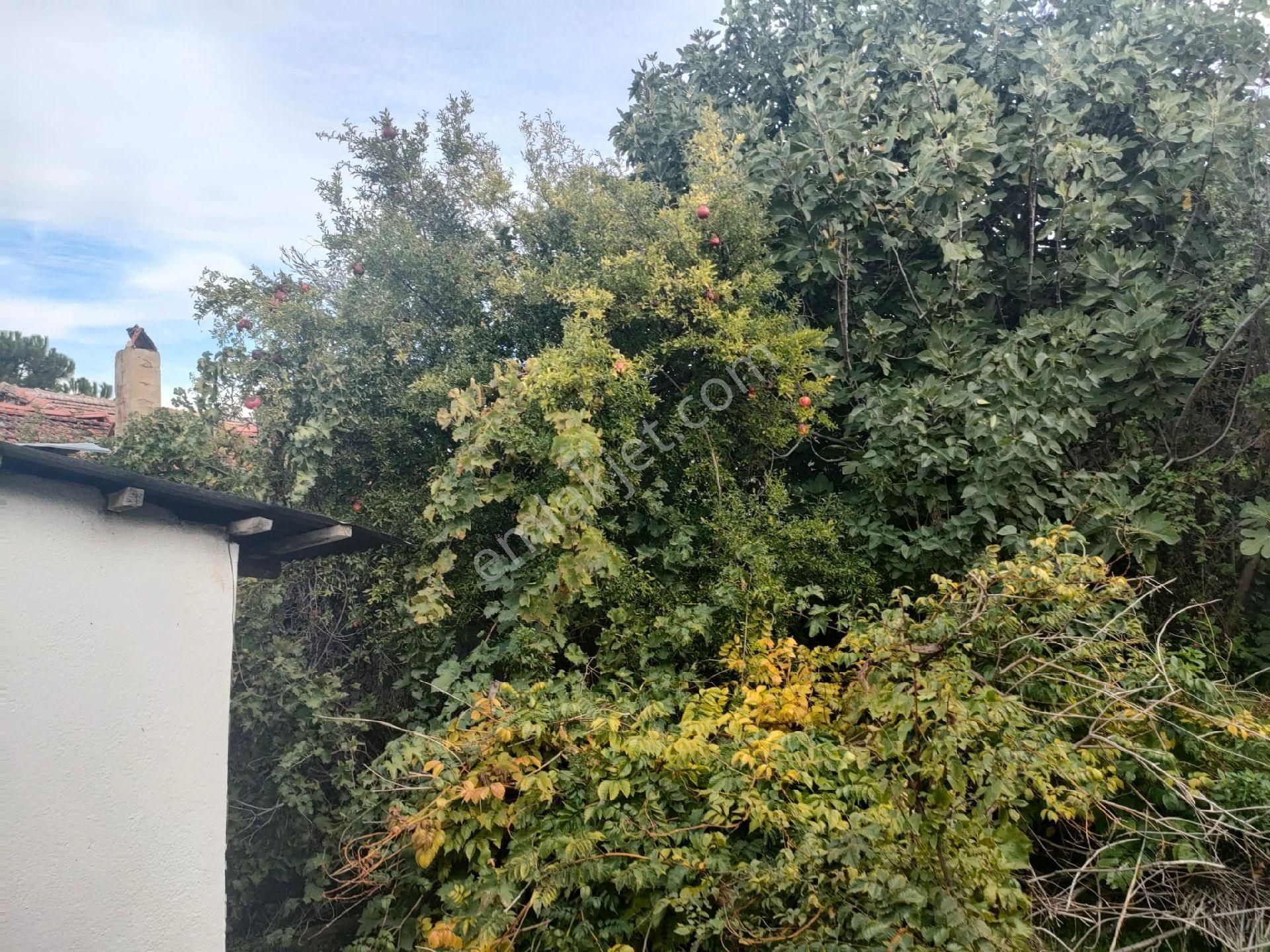 Poyracık Mahallesinde Geniş Bahçesi Olan Müstakil Ev - Görsel 18