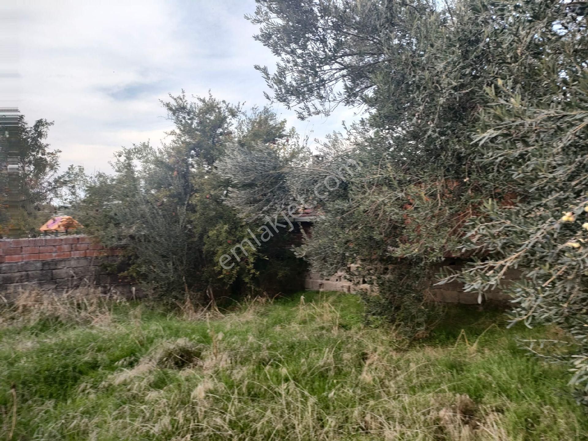 Poyracık Mahallesinde Geniş Bahçesi Olan Müstakil Ev - Görsel 26