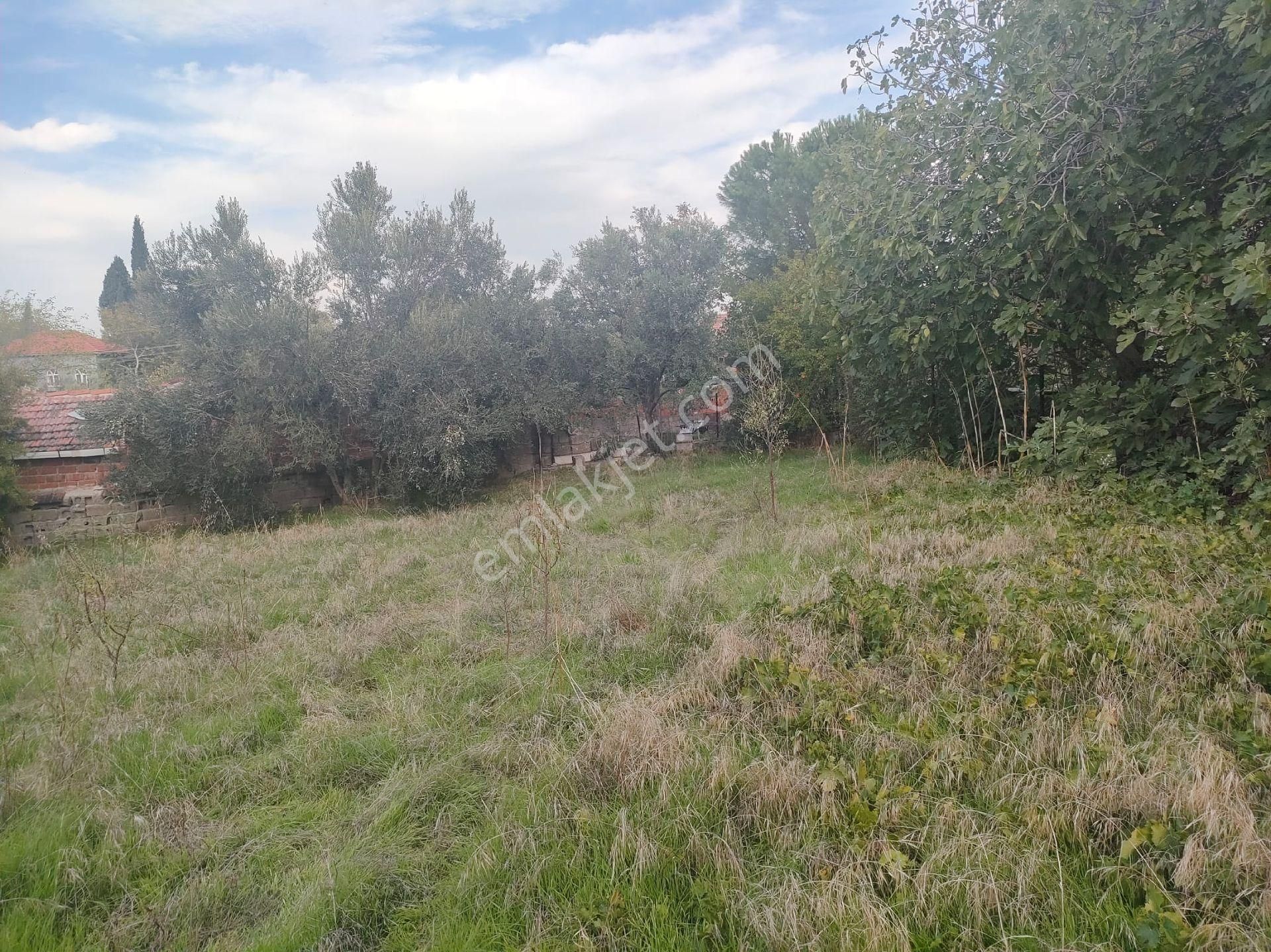 Poyracık Mahallesinde Geniş Bahçesi Olan Müstakil Ev - Görsel 29