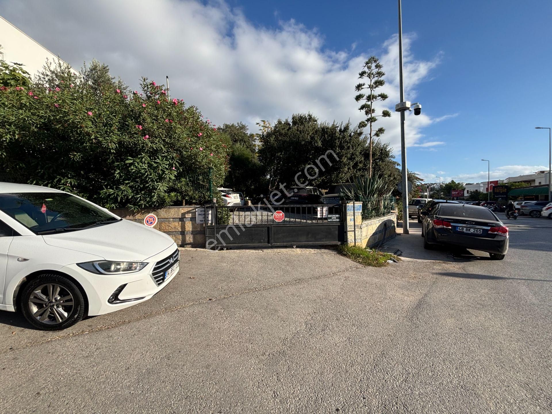 Bodrum Oasis Avm Yanı, Site İçi, Bahçe Katı, Kiralık Ofis - Görsel 4