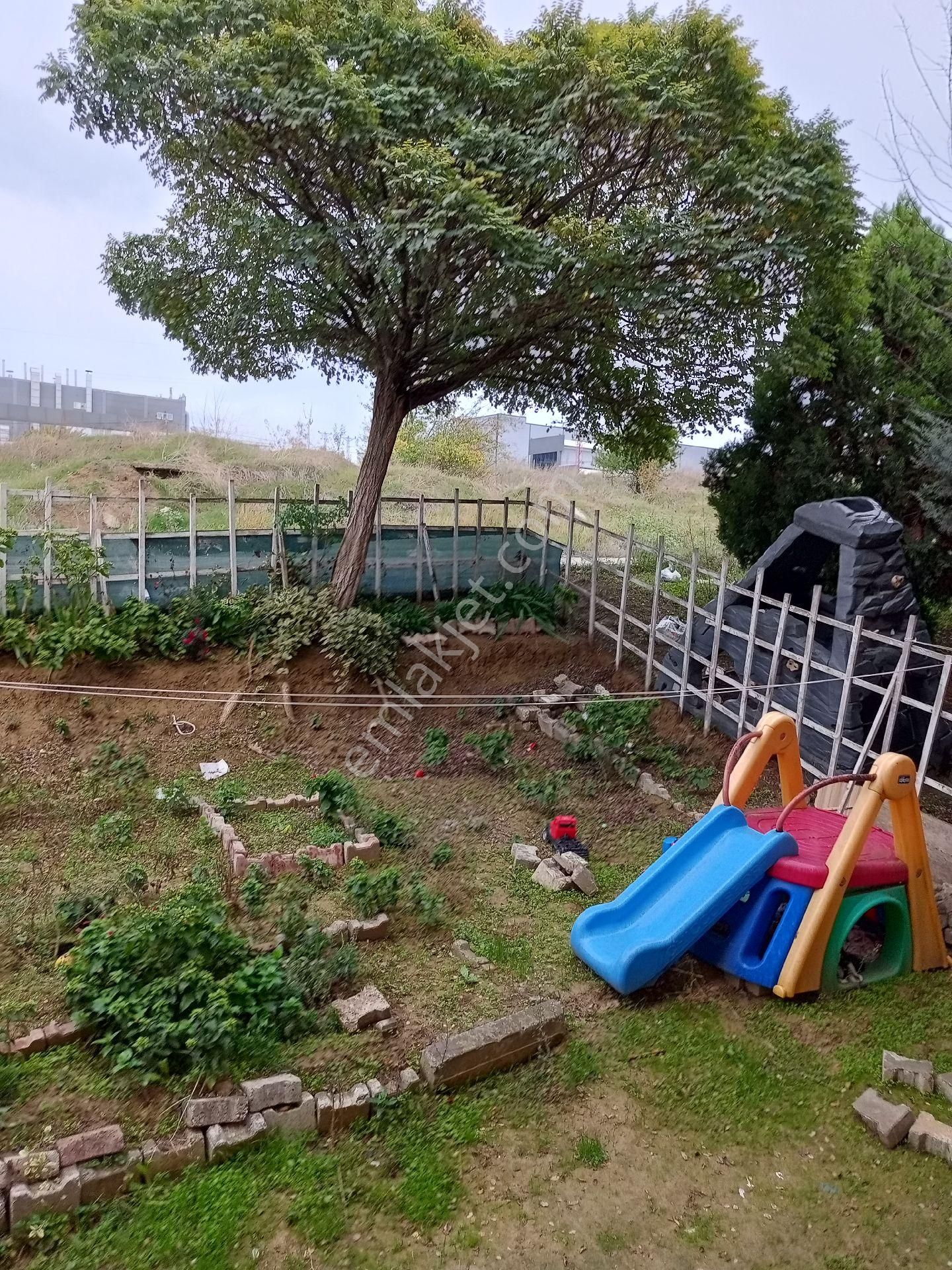 Tekirdağ Tokide - Görsel 15