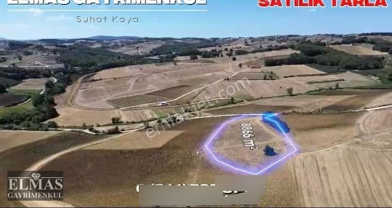 Büyükhataplı Da Satılık Ruhsatlı 8866 M2çiftlik Tesisleri - Görsel 11