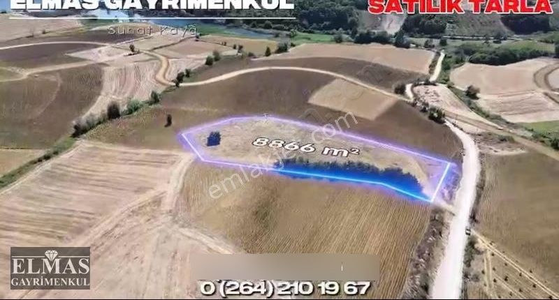 Büyükhataplı Da Satılık Ruhsatlı 8866 M2çiftlik Tesisleri - Görsel 2