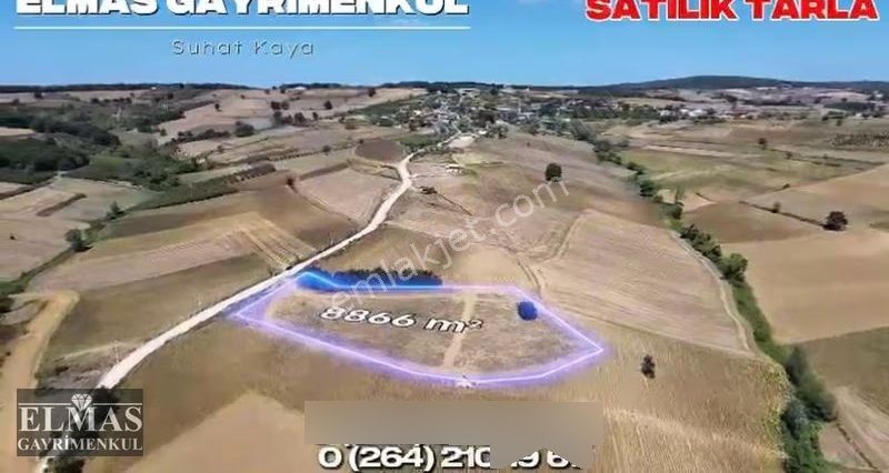 Büyükhataplı Da Satılık Ruhsatlı 8866 M2çiftlik Tesisleri - Görsel 9