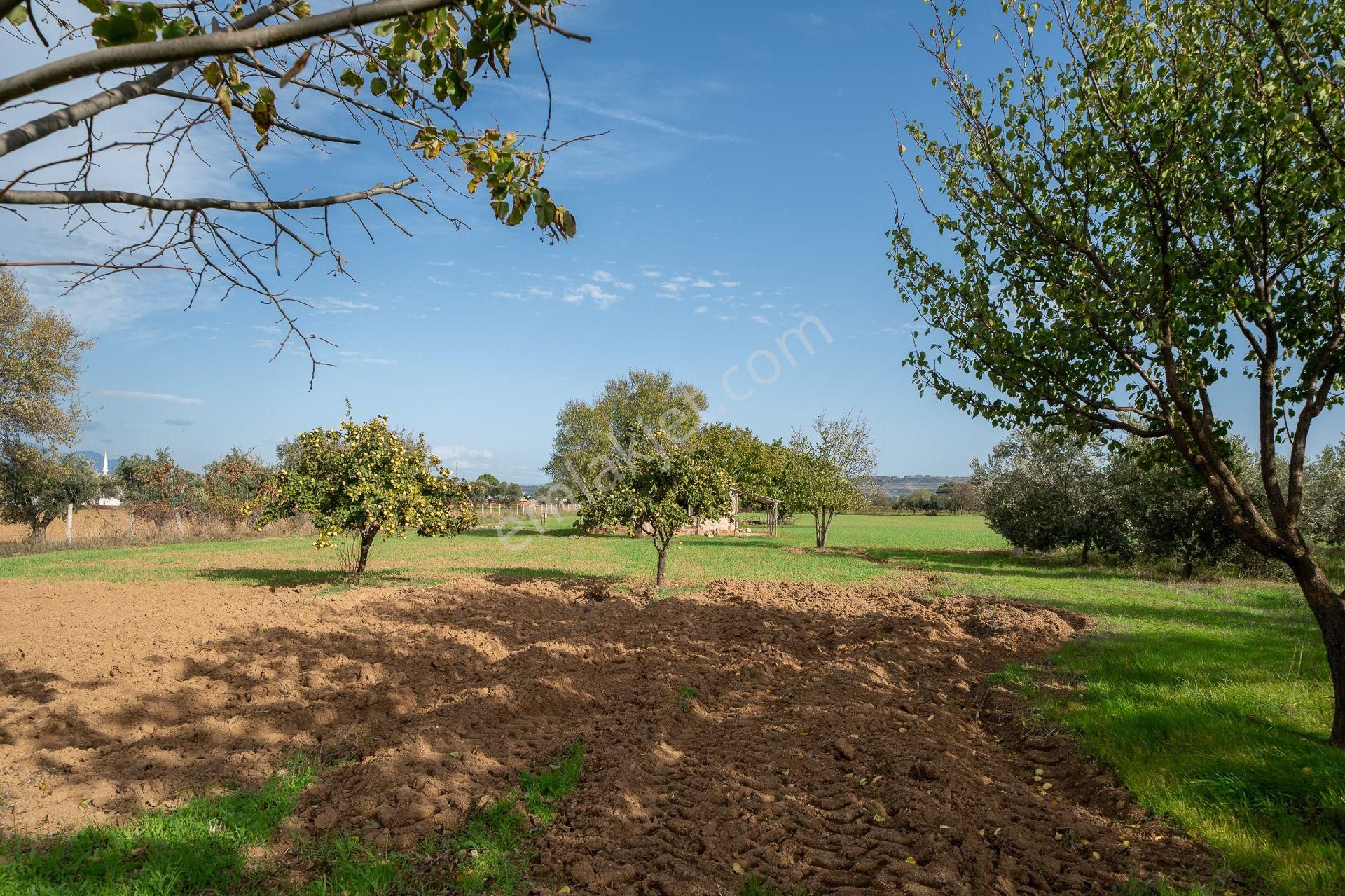 🌿 Menderes / Gümüldür Karayolu Üzerinde Eşsiz Fırsat Arazi! 🌿 - Görsel 27