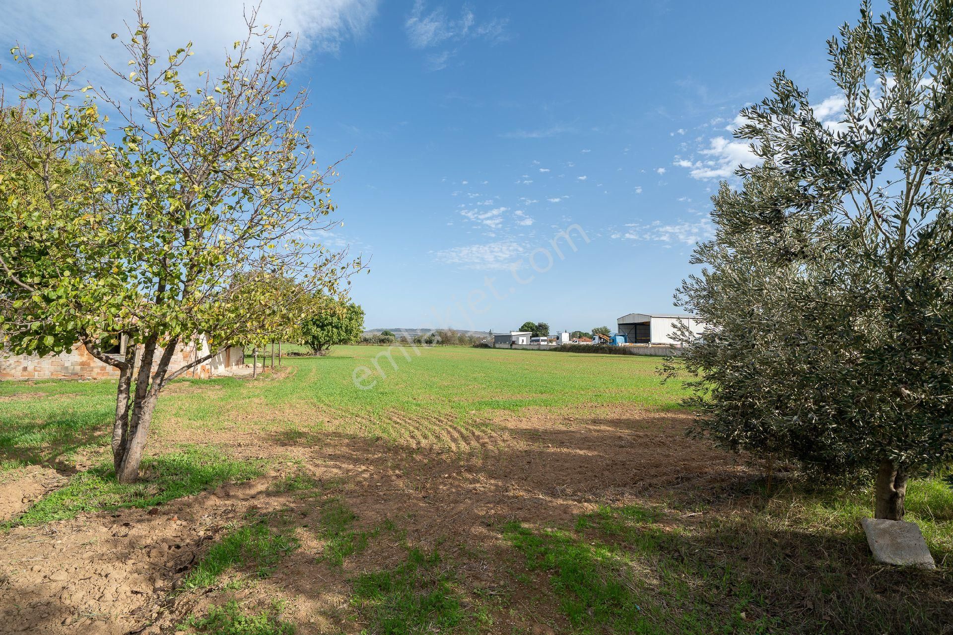 🌿 Menderes / Gümüldür Karayolu Üzerinde Eşsiz Fırsat Arazi! 🌿 - Görsel 23