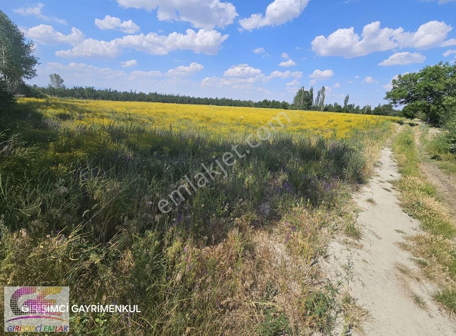 Çamözü Mevkinde 14.300 M2 Sulu Boş Tarla - Görsel 4