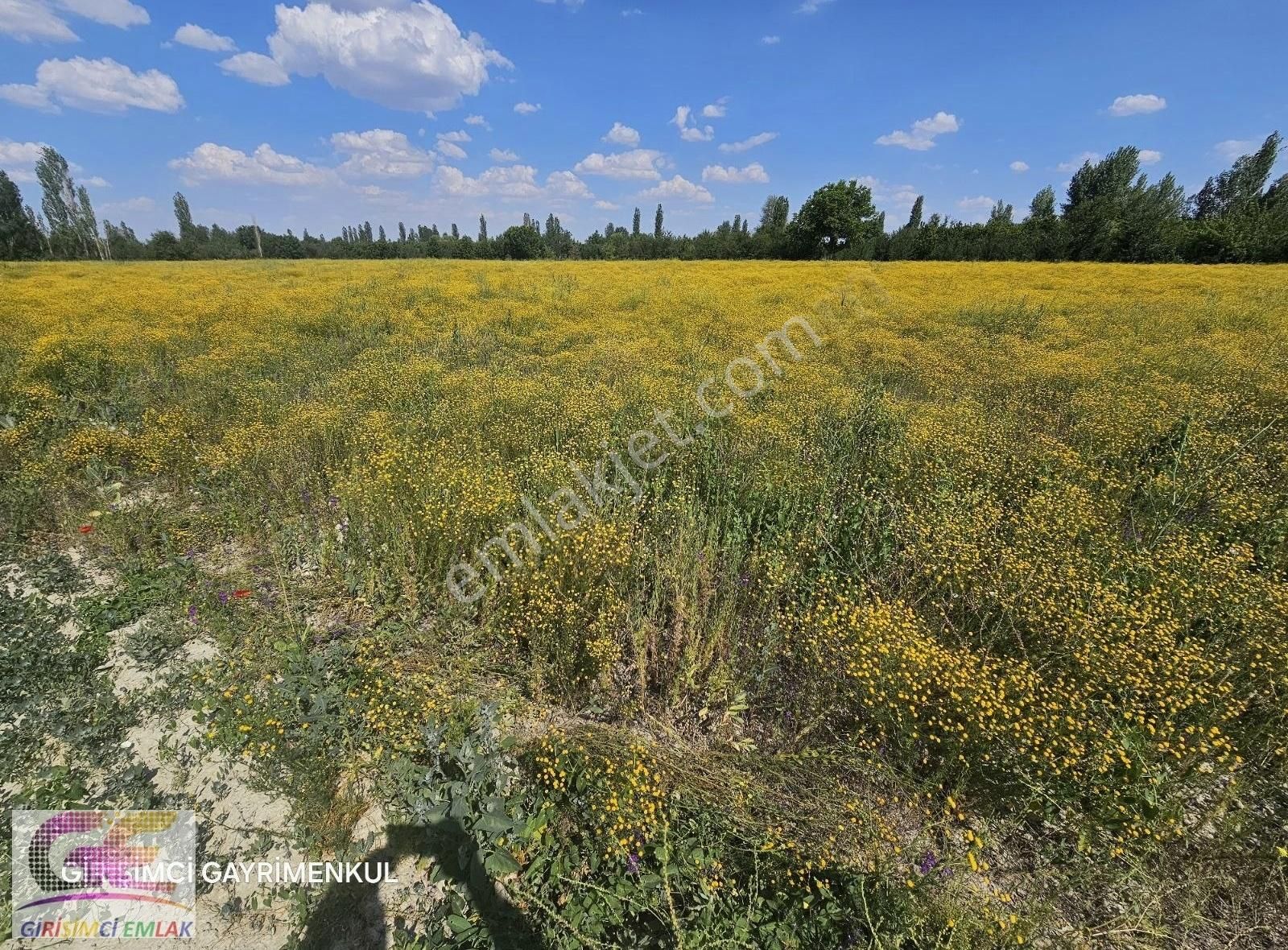 Çamözü Mevkinde 14.300 M2 Sulu Boş Tarla - Görsel 5