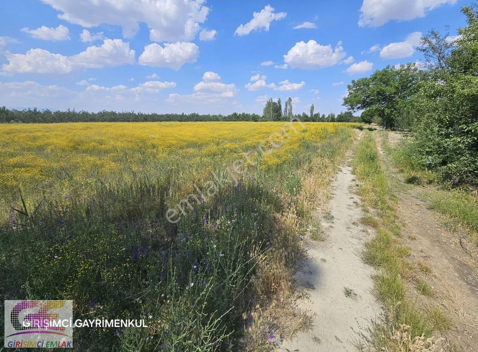 Çamözü Mevkinde 14.300 M2 Sulu Boş Tarla - Görsel 6